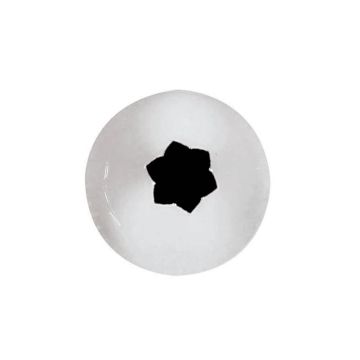 Sprit stea, inox, diametrul 16mm